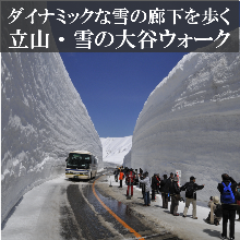 ダイナミックな雪の廊下を歩く立山・雪の大谷ウォーク