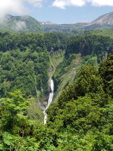 緑の木々が沢山生えている渓谷の間に滝が流れているのが見える写真