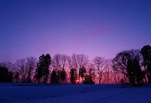 林の向こうに太陽が沈み淡いピンク色の光と青紫の空間が幻想的な芦見地区の夕映えの写真