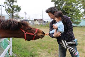 馬を触ろうとしている女の子を抱っこしているお父さんの写真