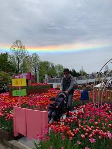 チューリップが咲く花壇の間をベビーカーを押しながら男の子と一緒に歩いているお父さんの写真