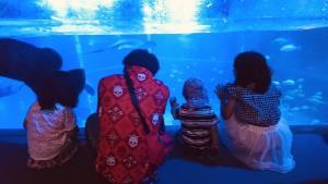 水族館で魚を見ている子供達3人とお父さんの後ろ姿の写真