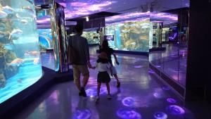 水族館で子供と手をつないで館内を見て回っているお父さんの写真