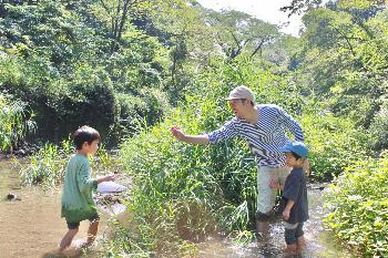 沢の中で虫を捕まえて遊ぶ親子