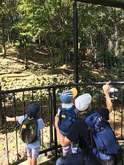 動物園で子どもと一緒に動物を見るお父さん