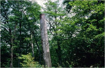 文字が彫ってある丸太が立てられ、周りは木々で囲まれている写真